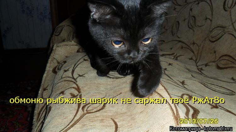 обмоню рыбжива шарик не саржал твоё РжАтВо... Котоматрица: обмоню рыбжива шарик не саржал твоё РжАтВо