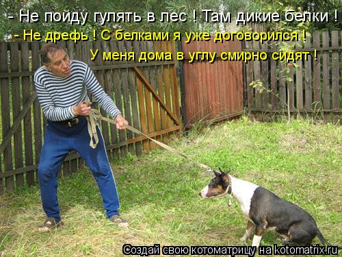 - Не пойду гулять в лес ! Там дикие белки ! - Не дрефь ! С белками я уже договорился ! У меня дома в ... Котоматрица: - Не пойду гулять в лес ! Там дикие белки ! - Не дрефь ! С белками я уже договорился ! У меня дома в углу смирно сидят !