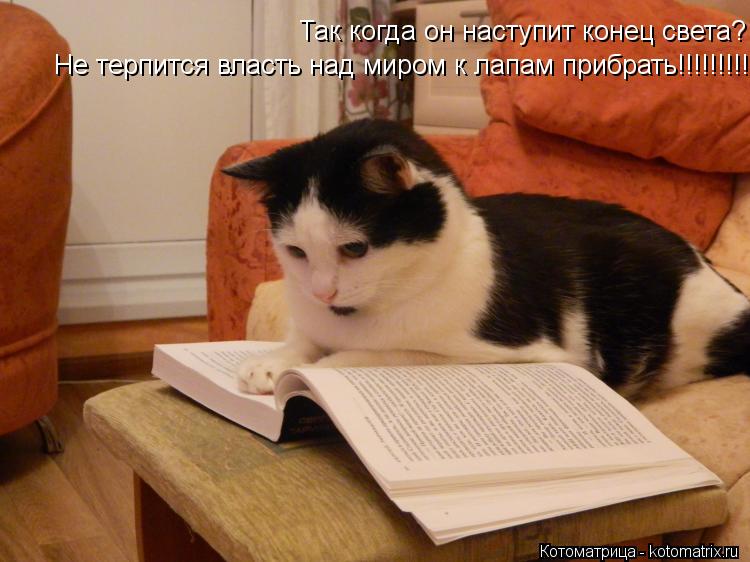 Так когда он наступит конец света? Не терпится власть над миром к лапам прибрать!!!!!!!!! Не терпит... Котоматрица: Так когда он наступит конец света? Не терпится власть над миром к лапам прибрать!!!!!!!!! Не терпится власть над миром к лапам прибрать!!!!!!!!!