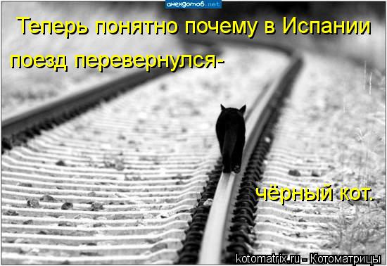 Теперь понятно почему в Испании поезд перевернулся- чёрный кот.... Котоматрица: Теперь понятно почему в Испании поезд перевернулся- чёрный кот.
