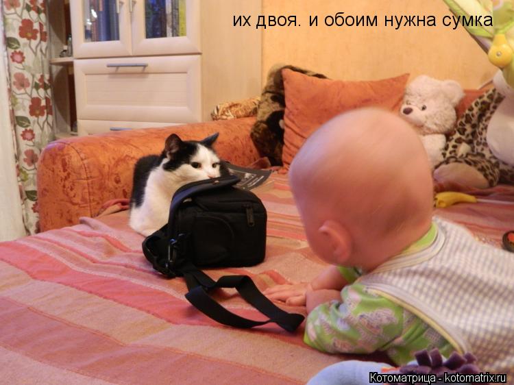 их двоя. и обоим нужна сумка... Котоматрица: их двоя. и обоим нужна сумка