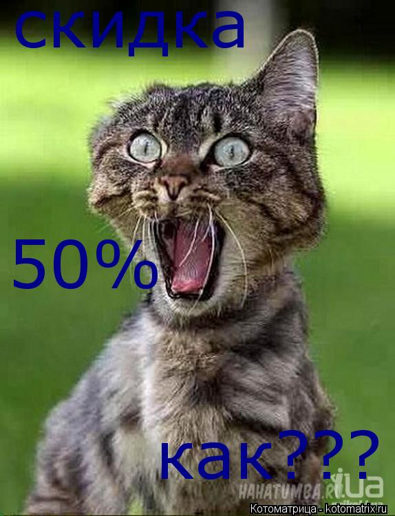 скидка 50% как???... Котоматрица: скидка 50% как???