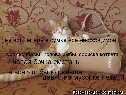 ну вот теперь в сумке всё необходимое кусок колбасы , голова рыбы ,сосиска,котлета и челая бочка см... Котоматрица: ну вот теперь в сумке всё необходимое кусок колбасы , голова рыбы ,сосиска,котлета и челая бочка сметаны а всё что было раньше давно на мус