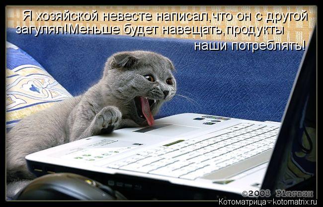 загулял!Меньше будет навещать,продукты наши потреблять! Я хозяйской невесте написал,что он с другой... Котоматрица: загулял!Меньше будет навещать,продукты наши потреблять! Я хозяйской невесте написал,что он с другой