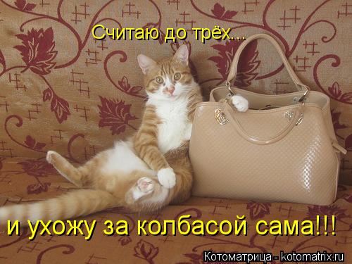 и ухожу за колбасой сама!!! и ухожу за колбасой сама!!! Считаю до трёх...... Котоматрица: и ухожу за колбасой сама!!! и ухожу за колбасой сама!!! Считаю до трёх...