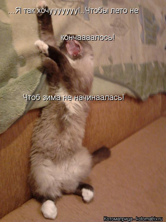 ...Я так хочууууууу!..Чтобы лето не кончаааалось! Чтоб зима не начинаалась!... Котоматрица: ...Я так хочууууууу!..Чтобы лето не кончаааалось! Чтоб зима не начинаалась!