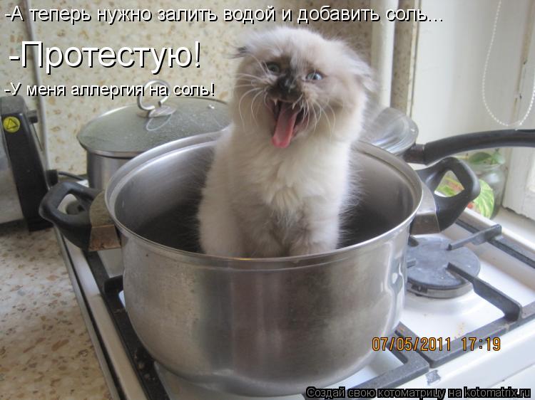 -А теперь нужно залить водой и добавить соль... -Протестую! -У меня аллергия на соль!... Котоматрица: -А теперь нужно залить водой и добавить соль... -Протестую! -У меня аллергия на соль!