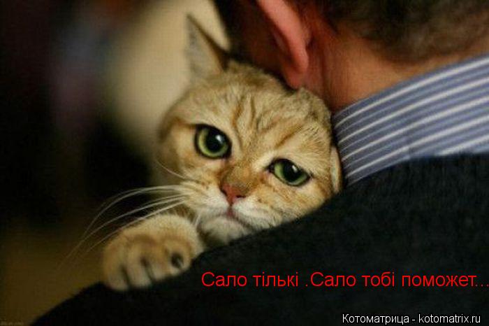 Сало тiлькi .Сало тобi поможет....... Котоматрица: Сало тiлькi .Сало тобi поможет....