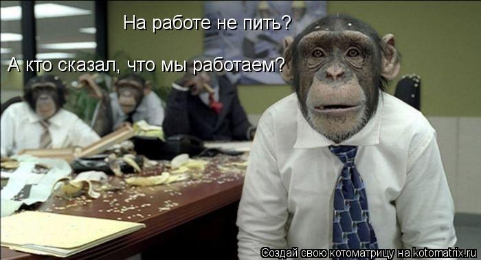 На работе не пить? А кто сказал, что мы работаем?... Котоматрица: На работе не пить? А кто сказал, что мы работаем?