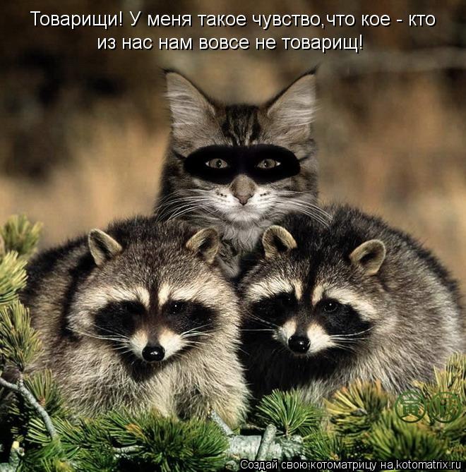 Товарищи! У меня такое чувство,что кое - кто из нас нам вовсе не товарищ!... Котоматрица: Товарищи! У меня такое чувство,что кое - кто из нас нам вовсе не товарищ!