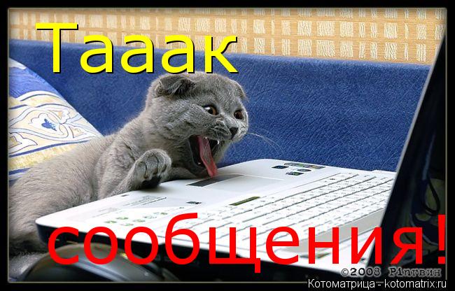 Тааак сообщения!!!... Котоматрица: Тааак сообщения!!!
