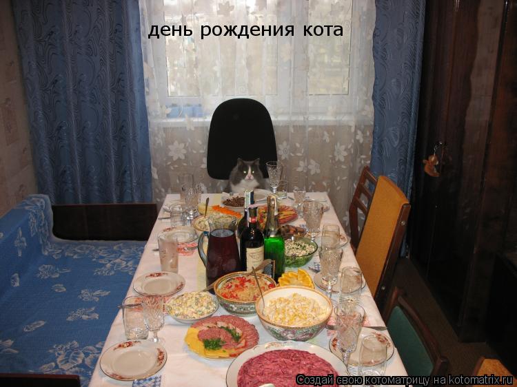 день рождения кота... Котоматрица: день рождения кота