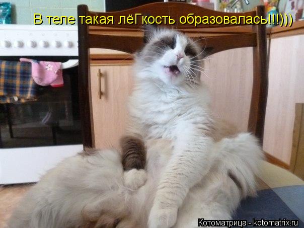 В теле такая лёГкость образовалась!!!)))... Котоматрица: В теле такая лёГкость образовалась!!!)))