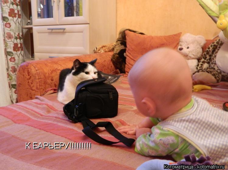 К БАРЬЕРУ!!!!!!!!!... Котоматрица: К БАРЬЕРУ!!!!!!!!!