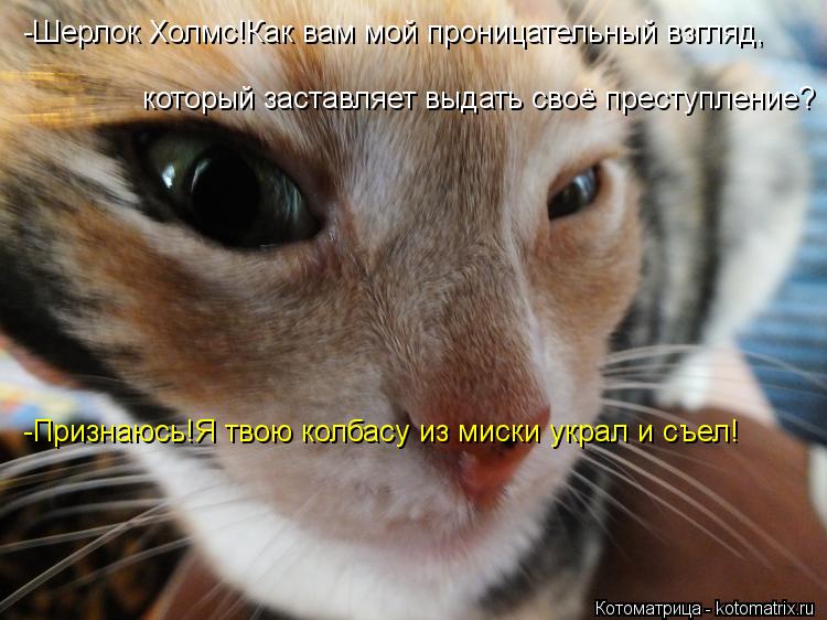 -Шерлок Холмс!Как вам мой проницательный взгляд, который заставляет выдать своё преступление? -Призна... Котоматрица: -Шерлок Холмс!Как вам мой проницательный взгляд, который заставляет выдать своё преступление? -Признаюсь!Я твою колбасу из миски украл и съ