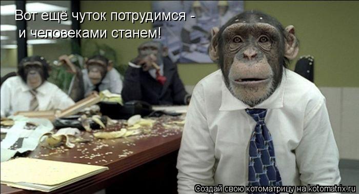 Вот ещё чуток потрудимся - и человеками станем!... Котоматрица: Вот ещё чуток потрудимся - и человеками станем!