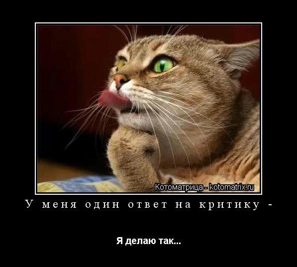 У меня один ответ на критику - Я делаю так...... Котоматрица: У меня один ответ на критику - Я делаю так...