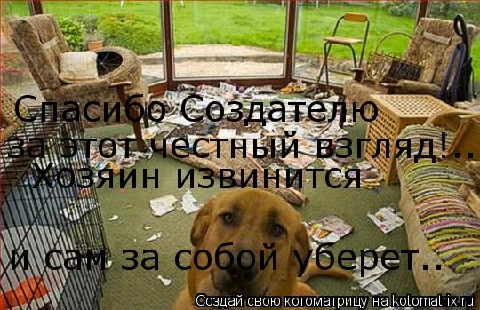 Спасибо Создателю за этот честный взгляд!.. Хозяин извинится и сам за собой уберет..... Котоматрица: Спасибо Создателю за этот честный взгляд!.. Хозяин извинится и сам за собой уберет..