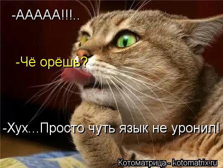 -ААААА!!!.. -Чё орёшь? -Хух...Просто чуть язык не уронил!... Котоматрица: -ААААА!!!.. -Чё орёшь? -Хух...Просто чуть язык не уронил!