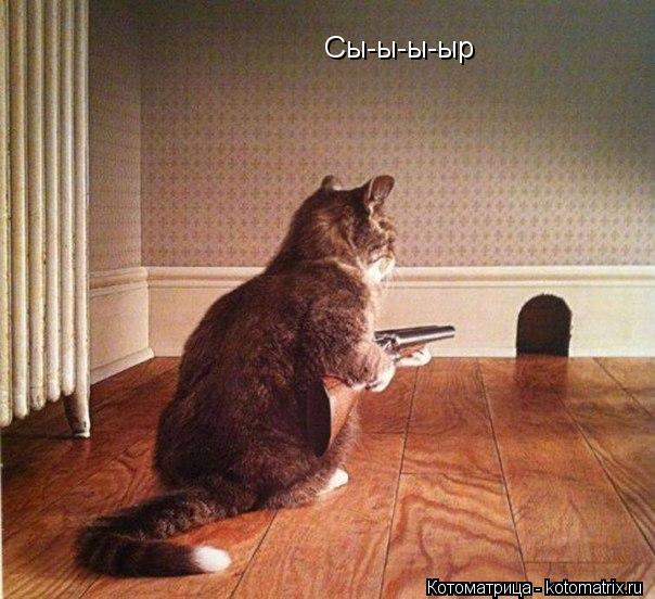 Сы-ы-ы-ыр... Котоматрица: Сы-ы-ы-ыр