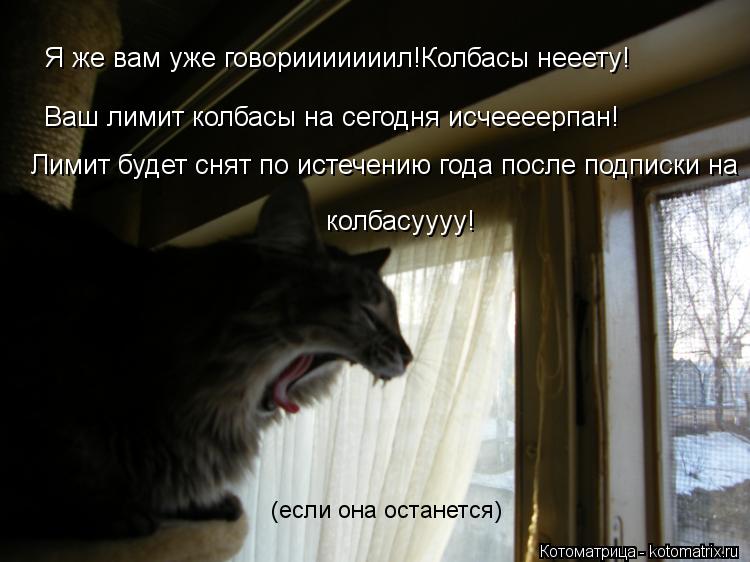 Я же вам уже говорииииииил!Колбасы нееету! Ваш лимит колбасы на сегодня исчеееерпан! Лимит будет снят... Котоматрица: Я же вам уже говорииииииил!Колбасы нееету! Ваш лимит колбасы на сегодня исчеееерпан! Лимит будет снят по истечению года после подписки на к