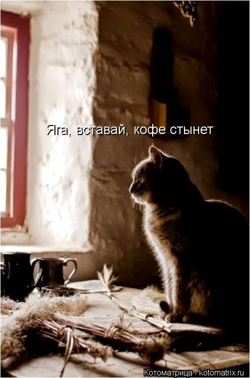 Яга, вставай, кофе стынет... Котоматрица: Яга, вставай, кофе стынет