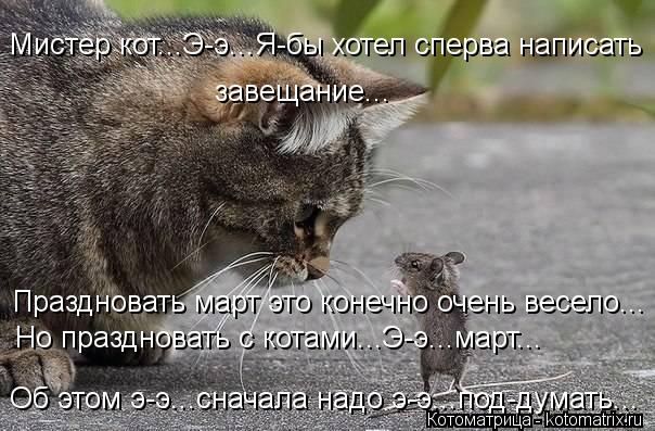 Мистер кот...Э-э...Я-бы хотел сперва написать завещание... Праздновать март это конечно очень весело... Котоматрица: Мистер кот...Э-э...Я-бы хотел сперва написать завещание... Праздновать март это конечно очень весело... Но праздновать с котами...Э-э...март... Об