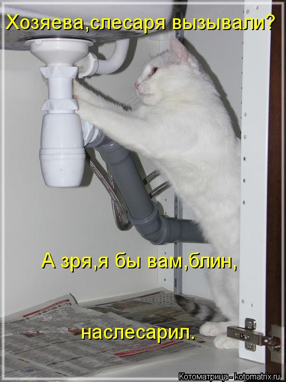 Хозяева,слесаря вызывали? А зря,я бы вам,блин, наслесарил.... Котоматрица: Хозяева,слесаря вызывали? А зря,я бы вам,блин, наслесарил.