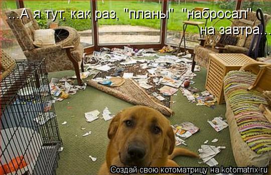 ...А я тут, как раз, "планы" "набросал" на завтра...... Котоматрица: ...А я тут, как раз, "планы" "набросал" на завтра...