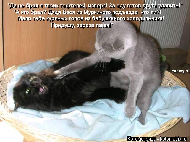 "Да не брал я твоих тефтелей, изверг! За еду готов друга удавить!" "А кто брал? Дядя Вася из Муркиног... Котоматрица: "Да не брал я твоих тефтелей, изверг! За еду готов друга удавить!" "А кто брал? Дядя Вася из Муркиного подъезда, что ли?! Мало тебе куриных голов