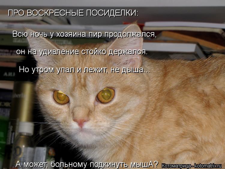 ПРО ВОСКРЕСНЫЕ ПОСИДЕЛКИ: А может, больному подкинуть мышА? Всю ночь у хозяина пир продолжался, он н... Котоматрица: ПРО ВОСКРЕСНЫЕ ПОСИДЕЛКИ: А может, больному подкинуть мышА? Всю ночь у хозяина пир продолжался, он на удивление стойко держался. Но утром у