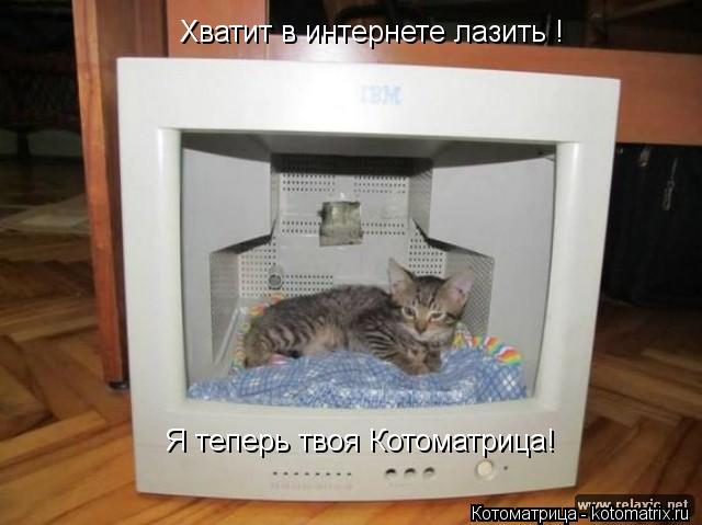 Хватит в интернете лазить ! Я теперь твоя Котоматрица!... Котоматрица: Хватит в интернете лазить ! Я теперь твоя Котоматрица!