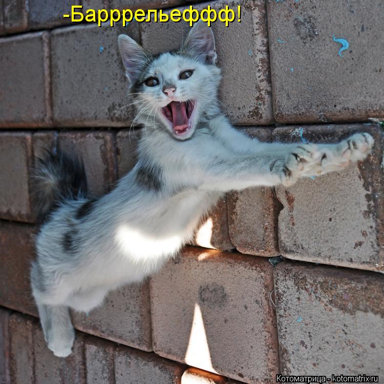 -Барррельеффф!... Котоматрица: -Барррельеффф!