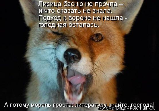 А потому мораль проста: литературу знайте, господа! Лисица басню не прочла – и что сказать не знала. ... Котоматрица: А потому мораль проста: литературу знайте, господа! Лисица басню не прочла – и что сказать не знала. Подход к вороне не нашла - голодная ос