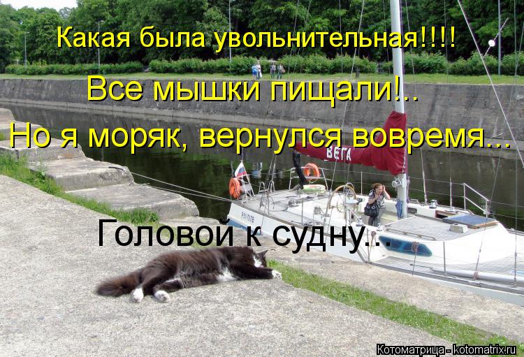 Какая была увольнительная!!!! Все мышки пищали!.. Но я моряк, вернулся вовремя... Головой к судну...... Котоматрица: Какая была увольнительная!!!! Все мышки пищали!.. Но я моряк, вернулся вовремя... Головой к судну...