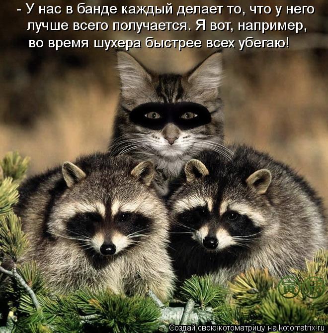 - У нас в банде каждый делает то, что у него лучше всего получается. Я вот, например, во время шухер... Котоматрица: - У нас в банде каждый делает то, что у него лучше всего получается. Я вот, например, во время шухера быстрее всех убегаю!