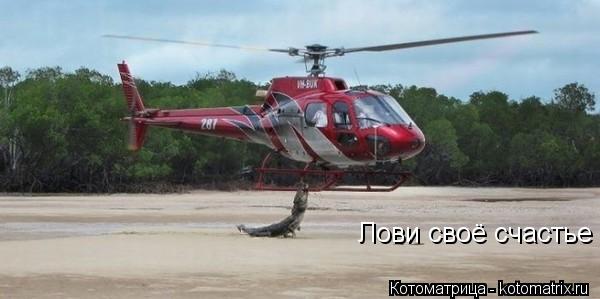 Лови своё счастье... Котоматрица: Лови своё счастье