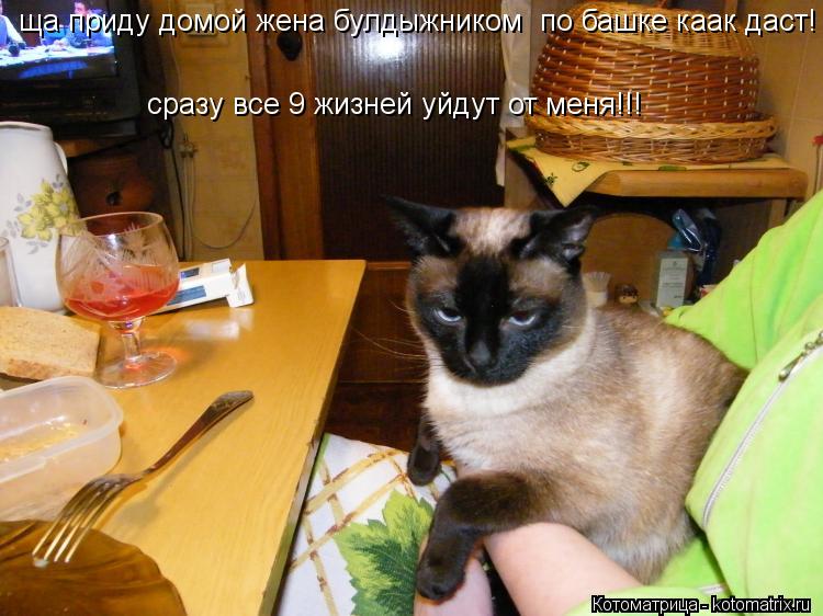 ща приду домой жена булдыжником по башке каак даст! сразу все 9 жизней уйдут от меня!!!... Котоматрица: ща приду домой жена булдыжником по башке каак даст! сразу все 9 жизней уйдут от меня!!!