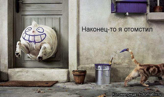 Наконец-то я отомстил... Котоматрица: Наконец-то я отомстил