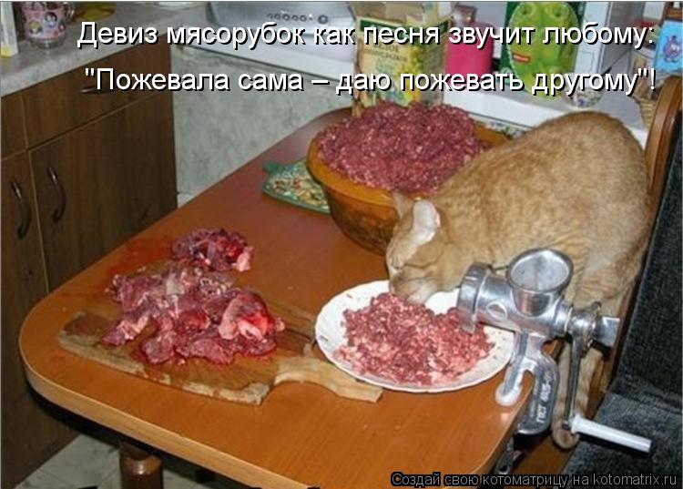Девиз мясорубок как песня звучит любому: "Пожевала сама – даю пожевать другому"!... Котоматрица: Девиз мясорубок как песня звучит любому: "Пожевала сама – даю пожевать другому"!