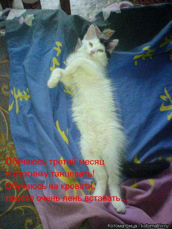 Обучаюсь третий месяц я лезгинку танцевать! Обучаюсь на кровати, просто очень лень вставать...... Котоматрица: Обучаюсь третий месяц я лезгинку танцевать! Обучаюсь на кровати, просто очень лень вставать...