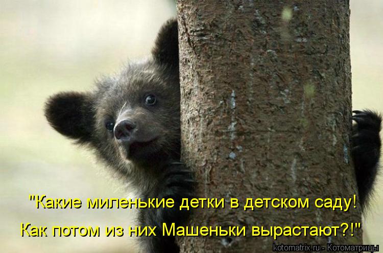 "Какие миленькие детки в детском саду! Как потом из них Машеньки вырастают?!"... Котоматрица: "Какие миленькие детки в детском саду! Как потом из них Машеньки вырастают?!"