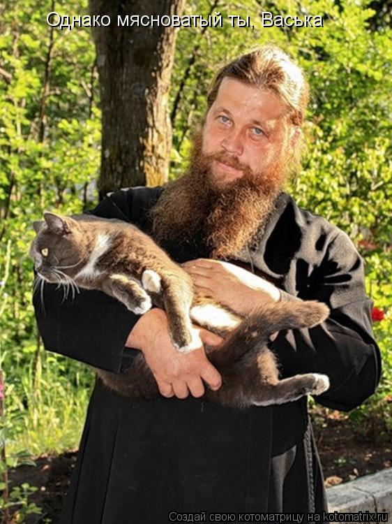 Однако мясноватый ты, Васька... Котоматрица: Однако мясноватый ты, Васька