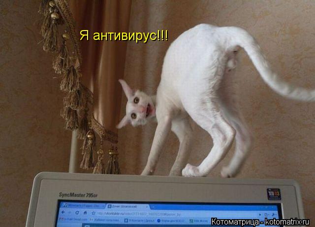Я антивирус!!!... Котоматрица: Я антивирус!!!