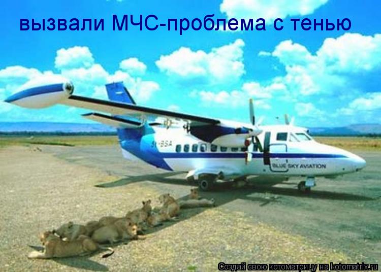 вызвали МЧС-проблема с тенью... Котоматрица: вызвали МЧС-проблема с тенью