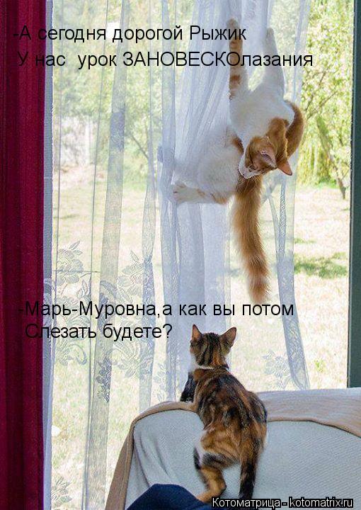 -А сегодня дорогой Рыжик У нас урок ЗАНОВЕСКОлазания -Марь-Муровна,а как вы потом Слезать будете?... Котоматрица: -А сегодня дорогой Рыжик У нас урок ЗАНОВЕСКОлазания -Марь-Муровна,а как вы потом Слезать будете?