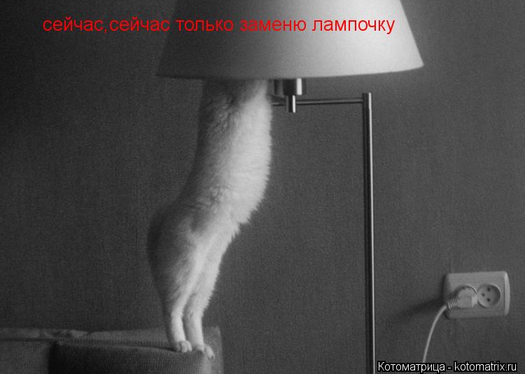сейчас,сейчас только заменю лампочку... Котоматрица: сейчас,сейчас только заменю лампочку
