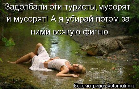 Задолбали эти туристы,мусорят и мусорят! А я убирай потом за ними всякую фигню.... Котоматрица: Задолбали эти туристы,мусорят и мусорят! А я убирай потом за ними всякую фигню.
