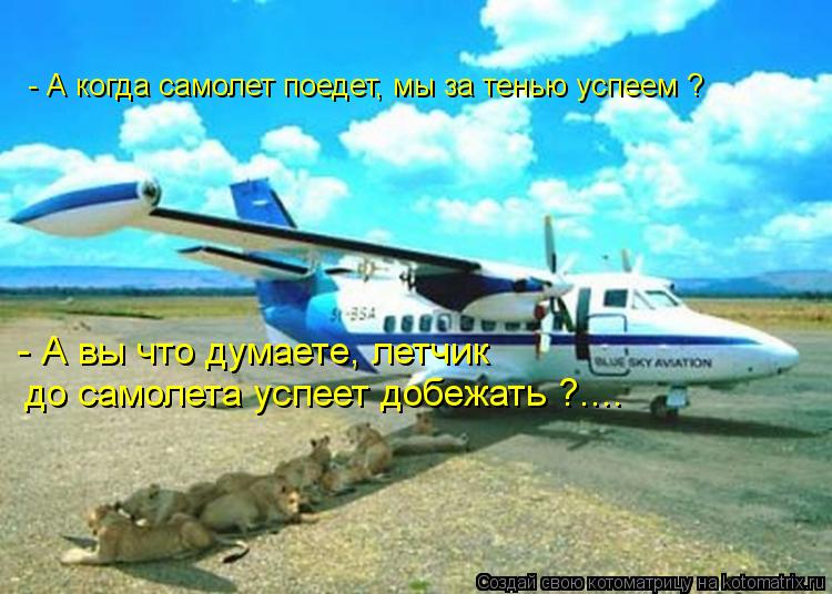 - А когда самолет поедет, мы за тенью успеем ? - А вы что думаете, летчик до самолета успеет добежать... Котоматрица: - А когда самолет поедет, мы за тенью успеем ? - А вы что думаете, летчик до самолета успеет добежать ?....