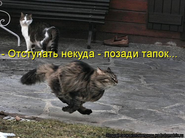 - Отступать некуда - позади тапок...... Котоматрица: - Отступать некуда - позади тапок...